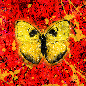 新婚夜被强伦无删减版
