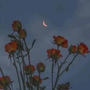 新婚夜被强伦无删减版
