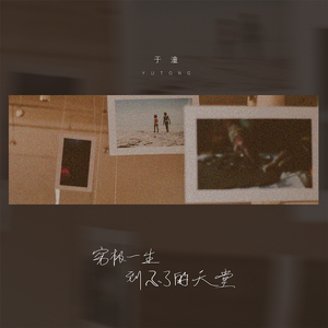 新婚夜被强伦无删减版
